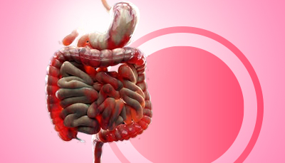 Why Gut Health Matters More Than You Think During Cancer Treatment